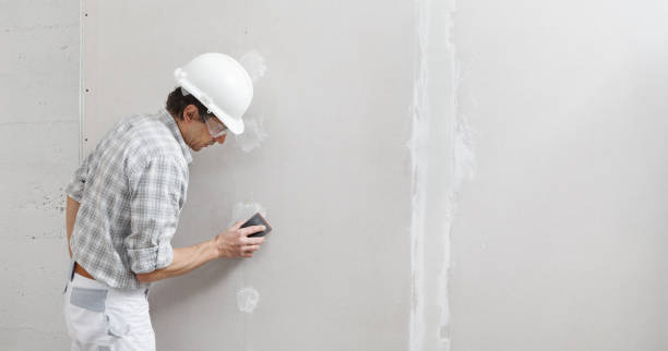 Reliable Wellman, IA Mold Removal Solutions