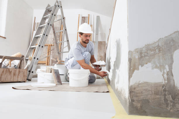 Best Industrial Mold Remediation  in Wellman, IA