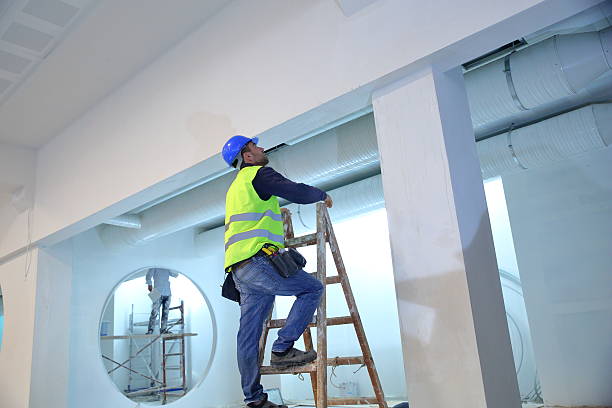 Mold Remediation for Vacation Homes in Wellman, IA