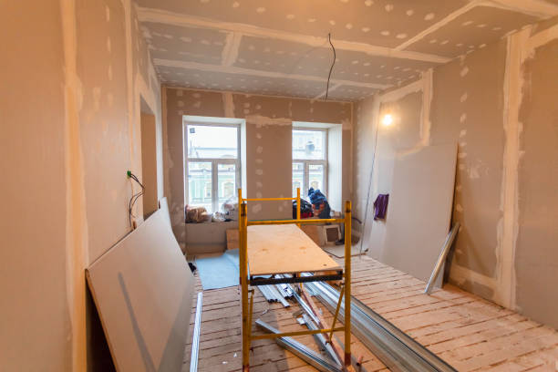 Best Mold Damage Restoration  in Wellman, IA